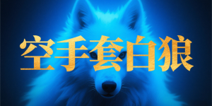 千门八将之空手套白狼局缩略图